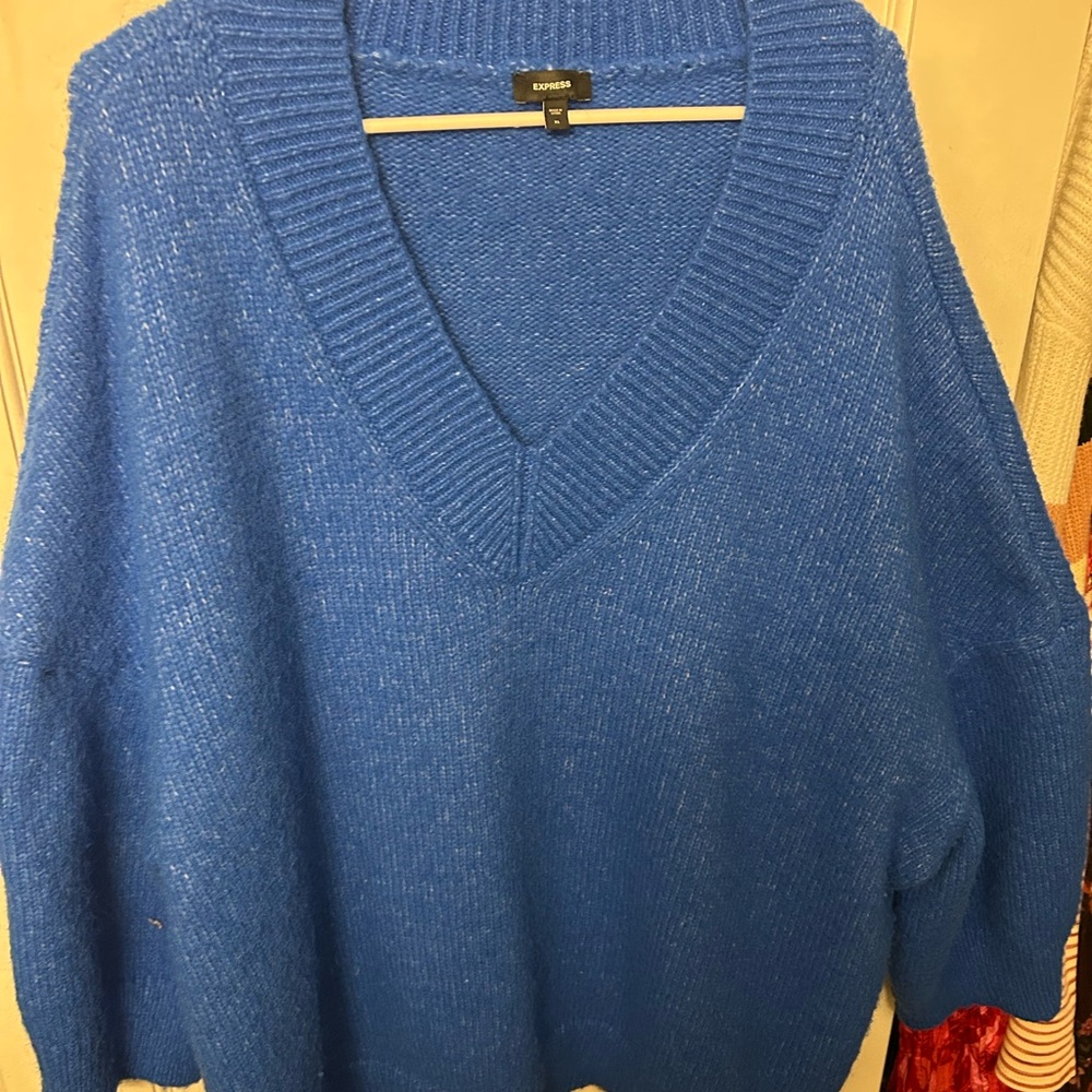 Express Royal Blue Knit Sweater